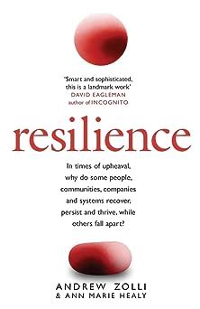  Resilience: Why Things Bounce Back – A Study in Japanese Optimism and Practical Wisdom